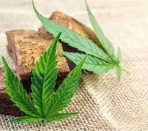 Cannabis Hash UK
