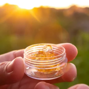 Cannabis Concentrates
